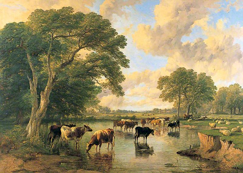 Cattle on the Banks of a River