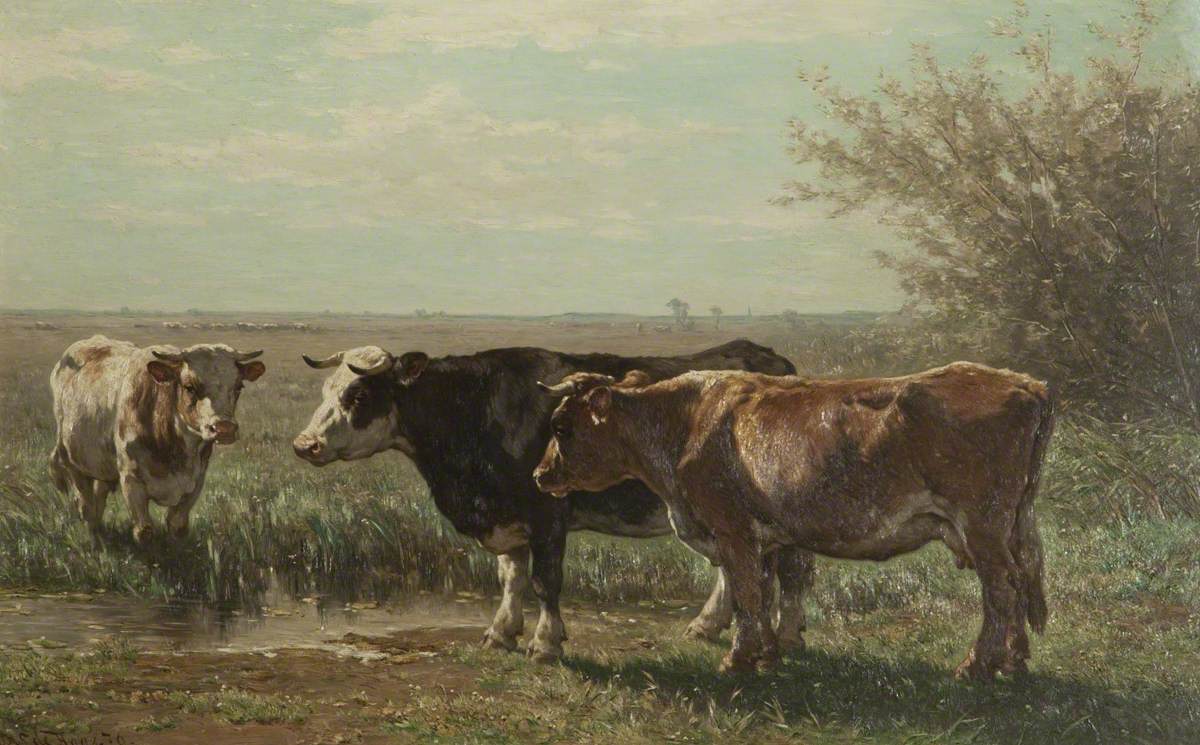 Cattle and Landscape