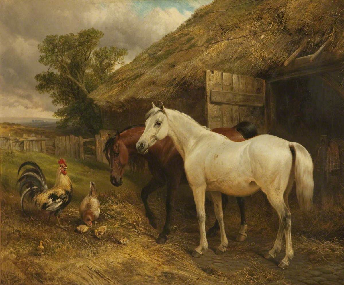 Horses