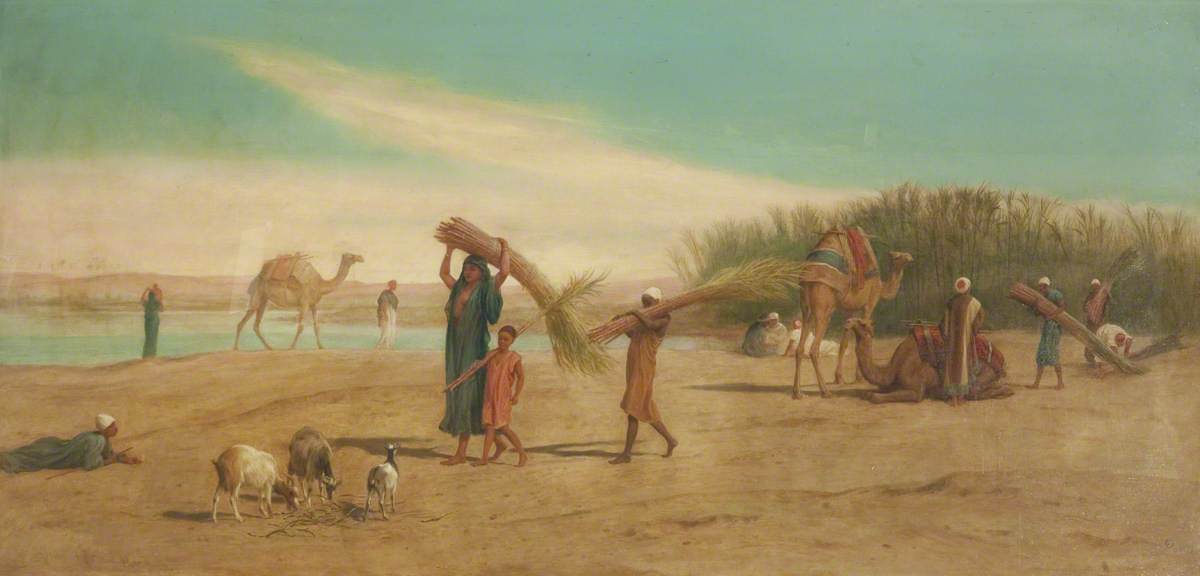 Scene on the Nile