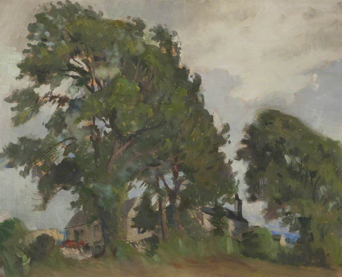 Windswept Trees