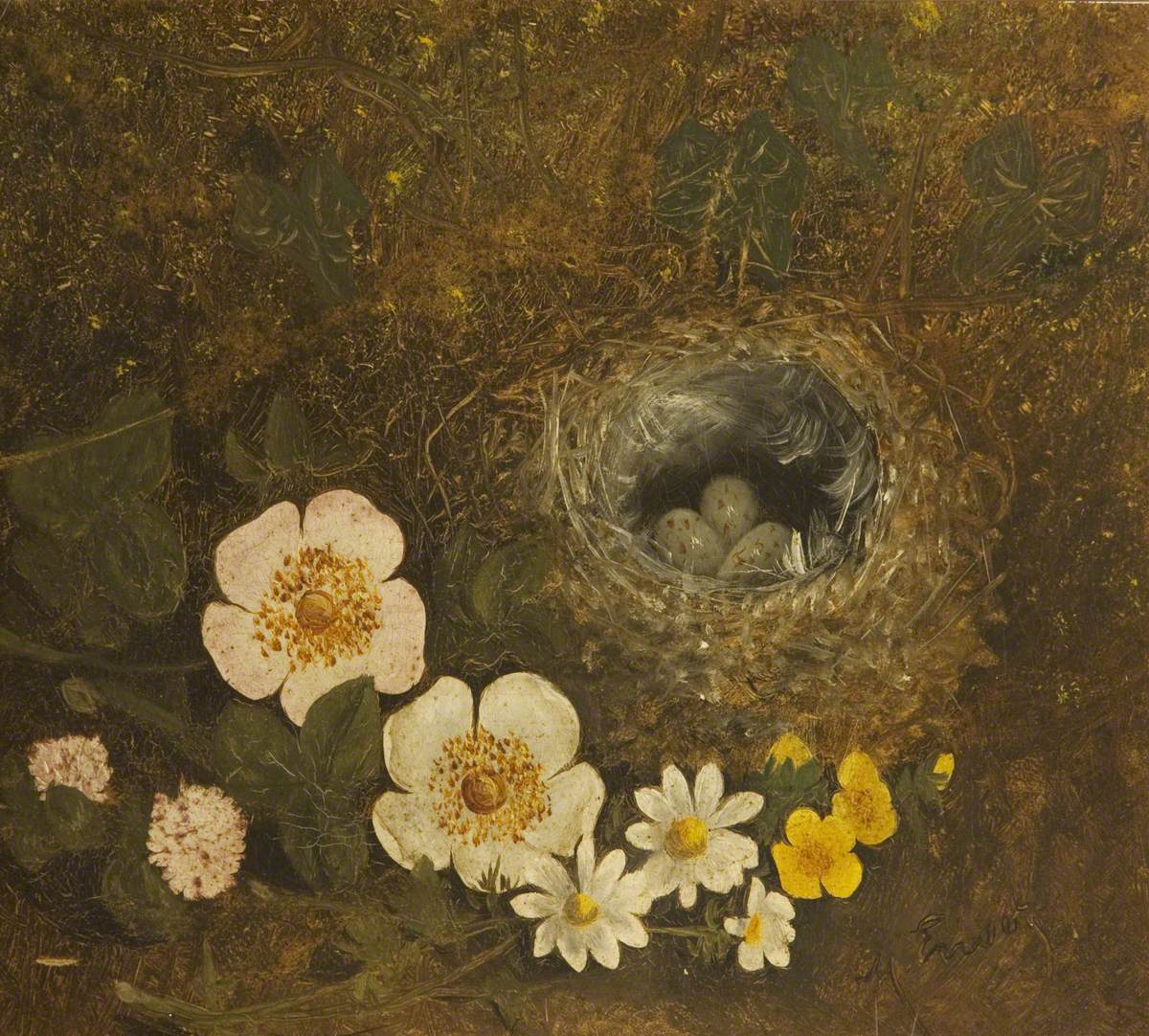 Bird's Nest and Flowers