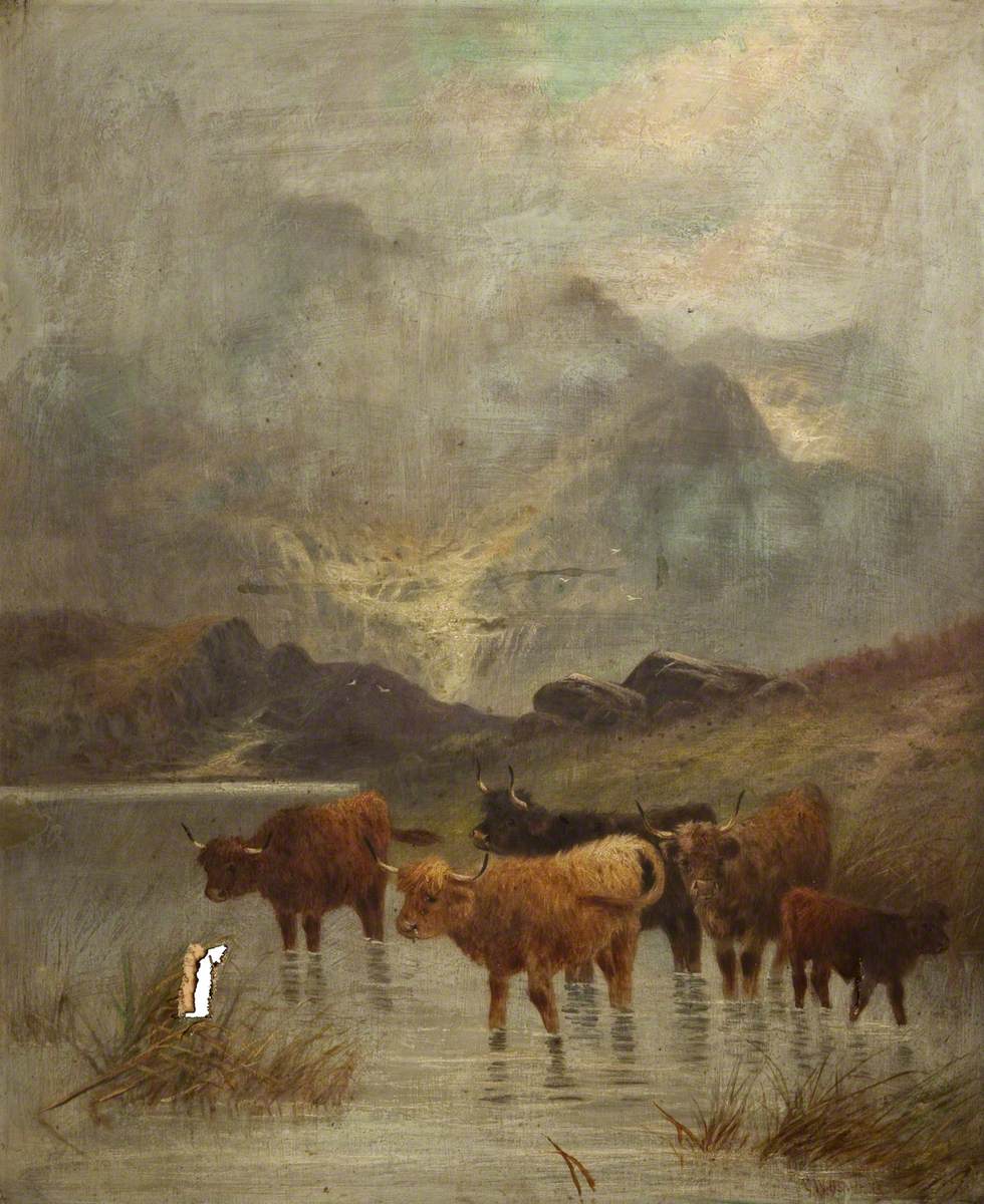 Cattle Wading in a Lake