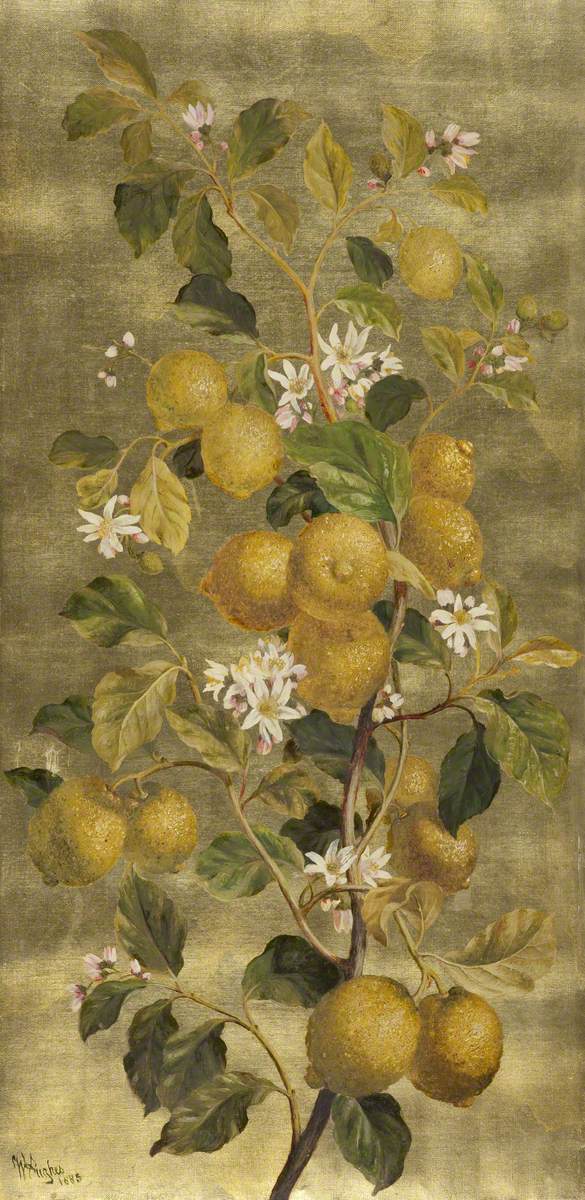 Lemons and Flowers