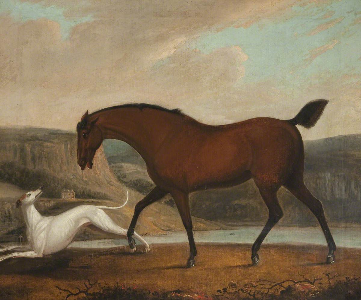 Horse and Greyhound