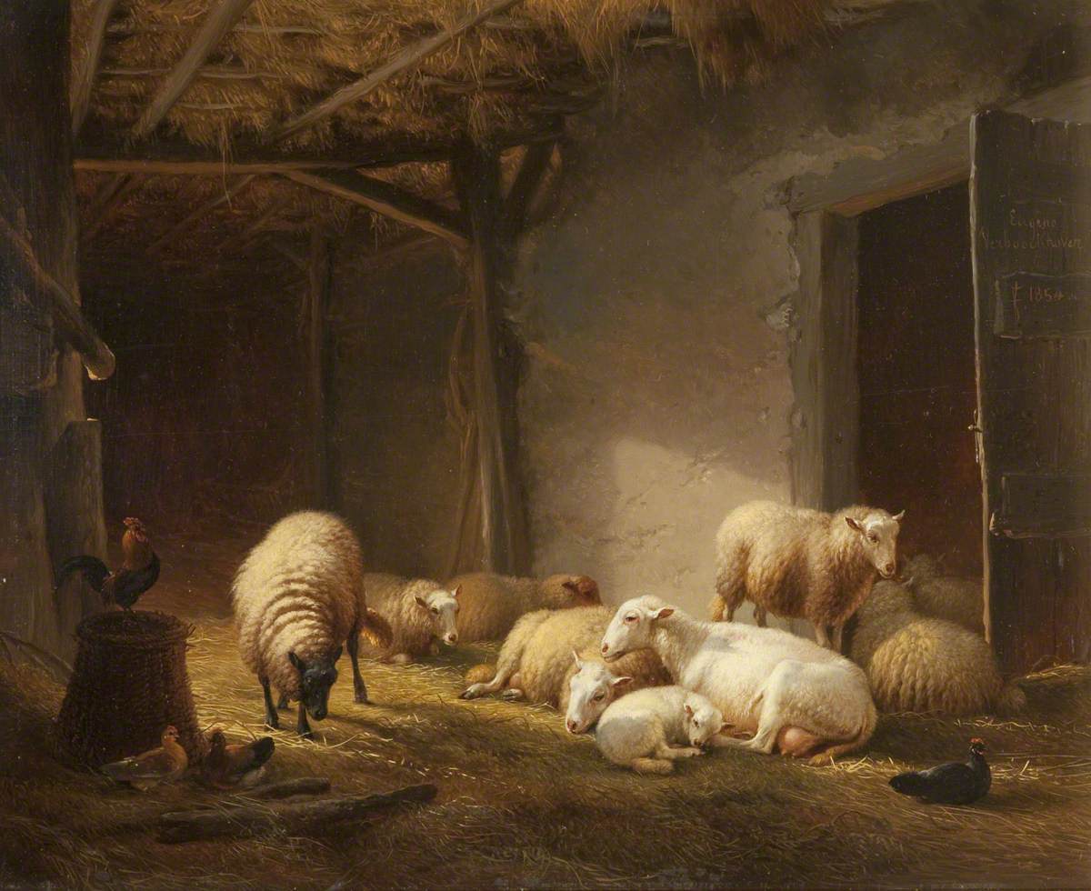 A Sunlit Barn with Ewes, Lambs and Chickens
