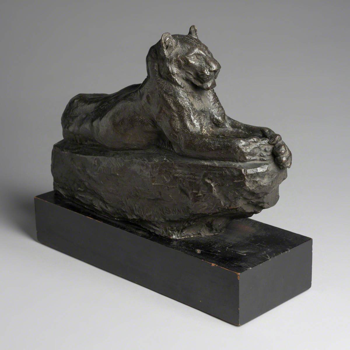 Lioness in Repose