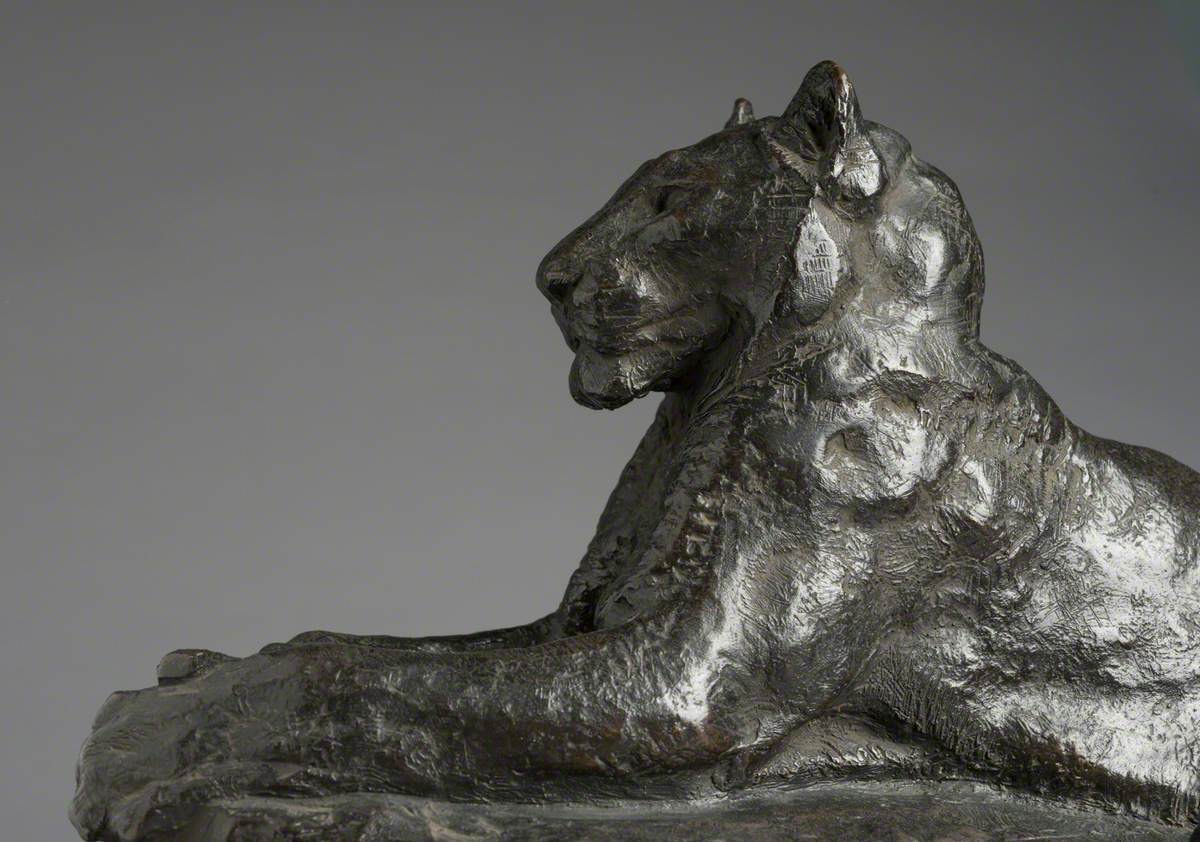 Lioness in Repose