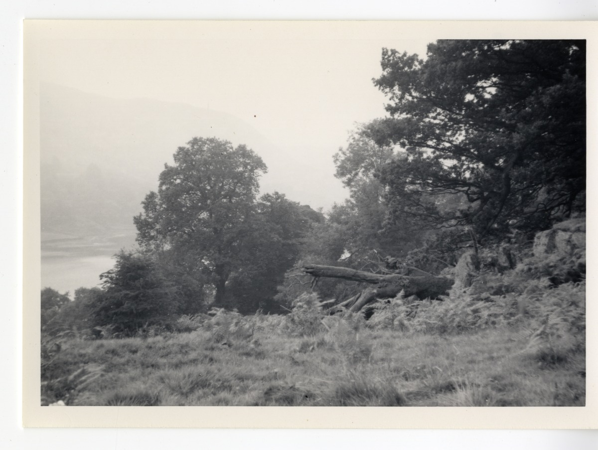 Photographs - Rydal 3