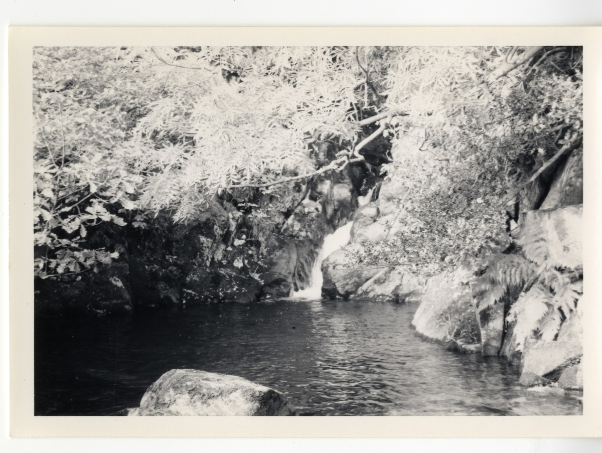 Photographs - Rydal 3