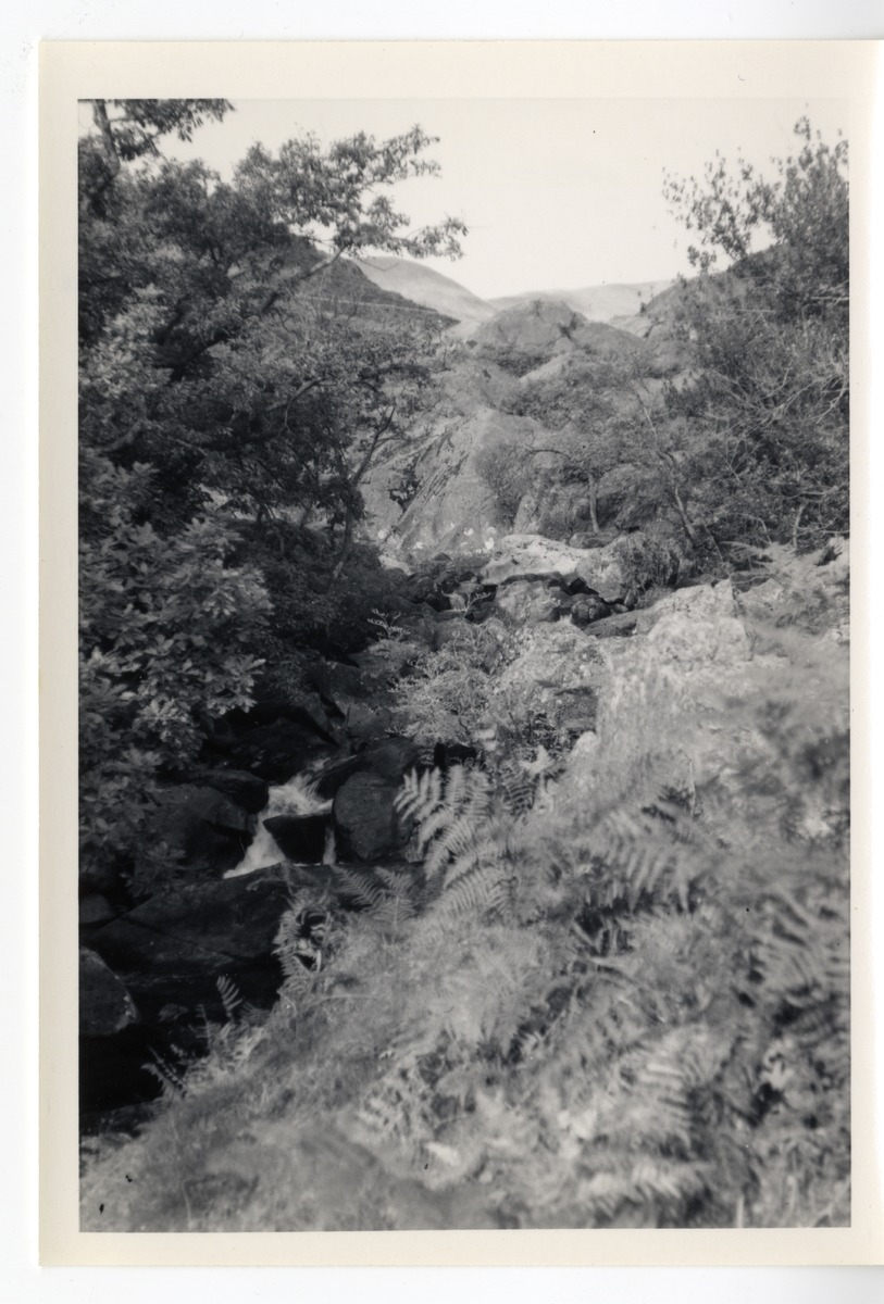 Photographs - Rydal 3