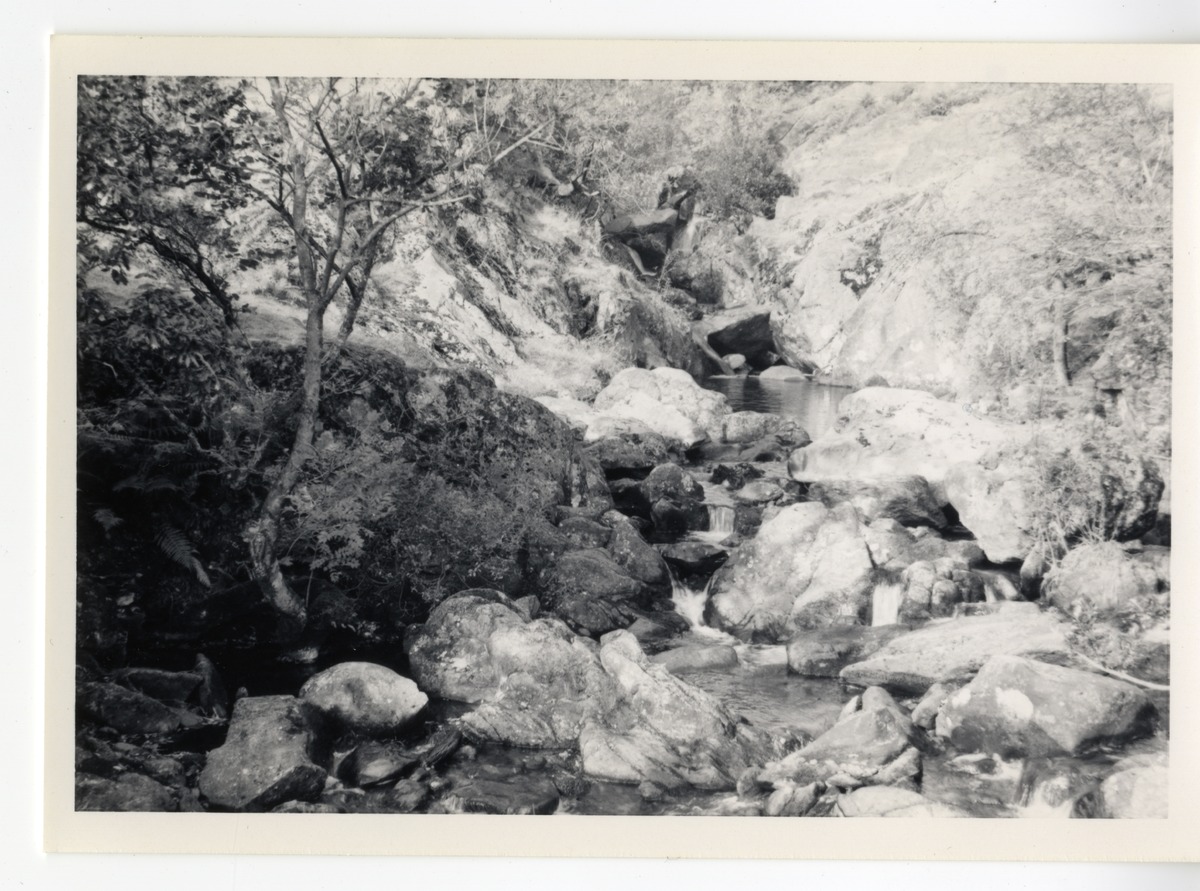 Photographs - Rydal 3
