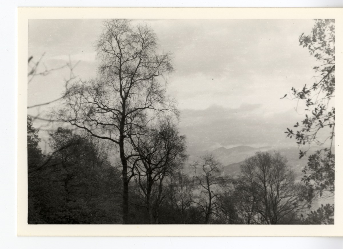 Photographs - Far Easedale