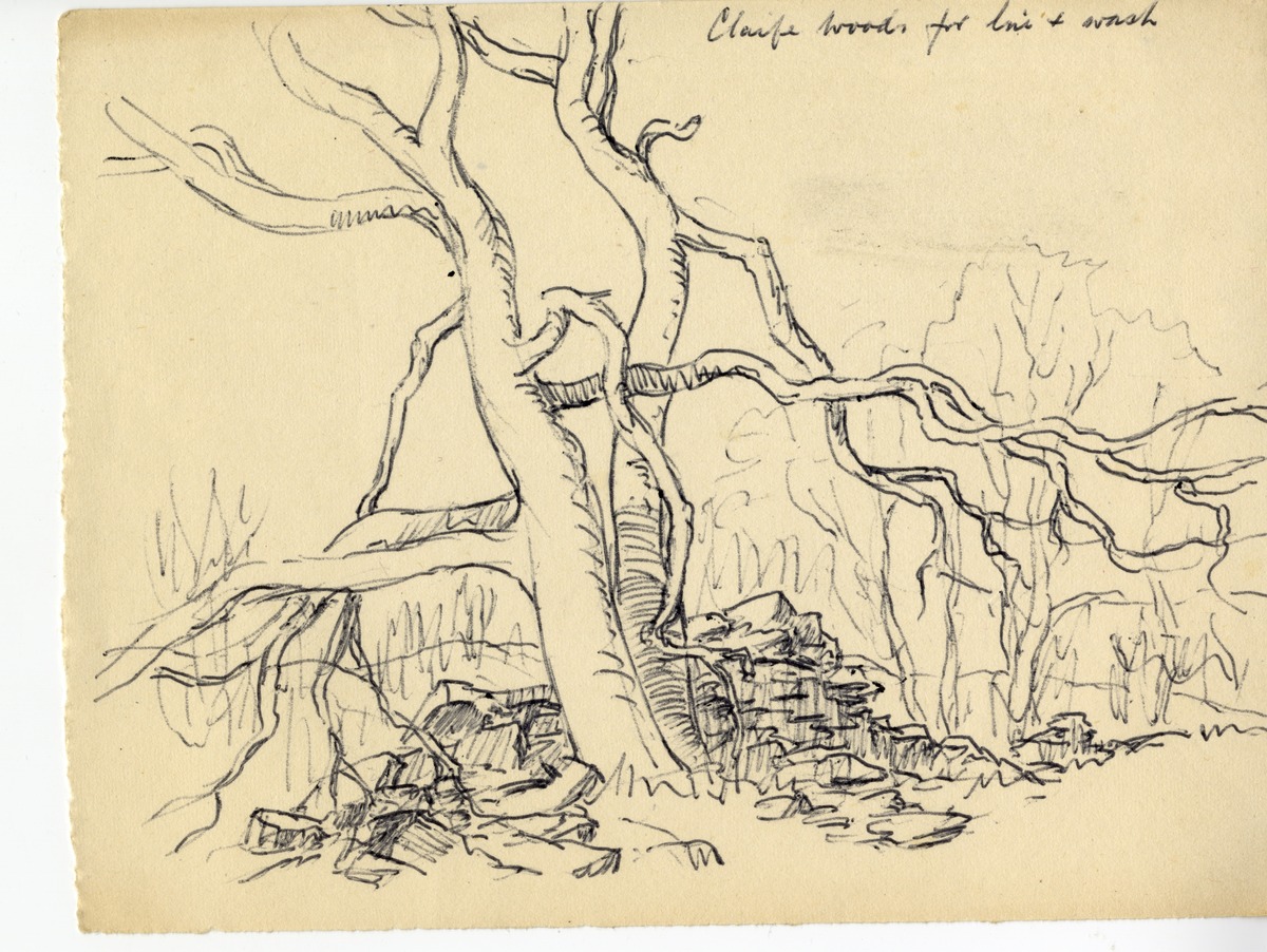 Claife Woods for Ink + Wash