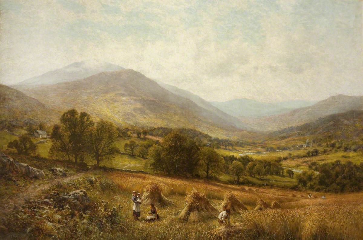 Harvesting Scene