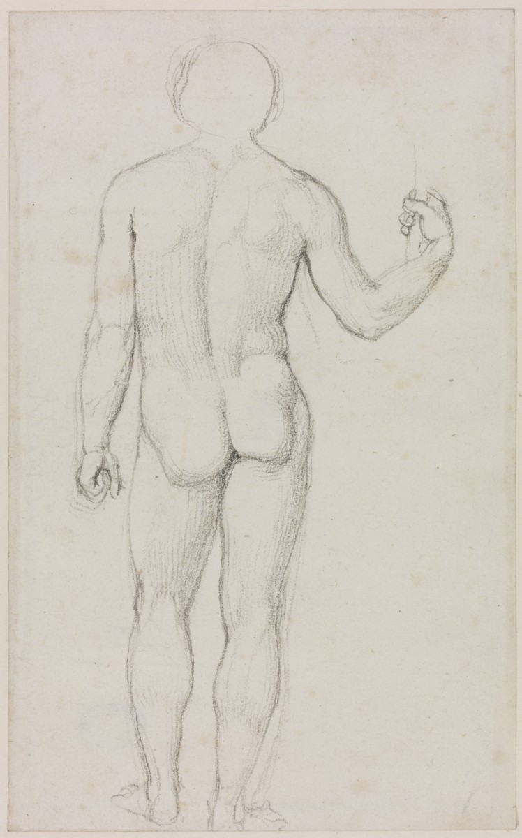 A Nude Male Figure