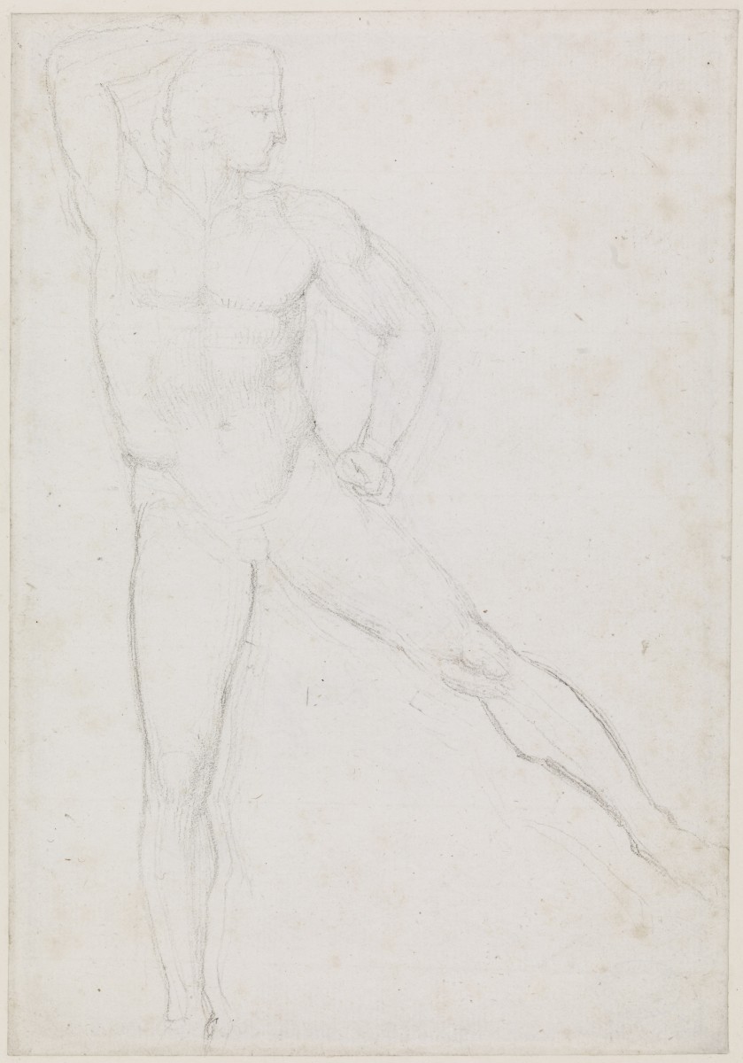 A Nude Male Figure