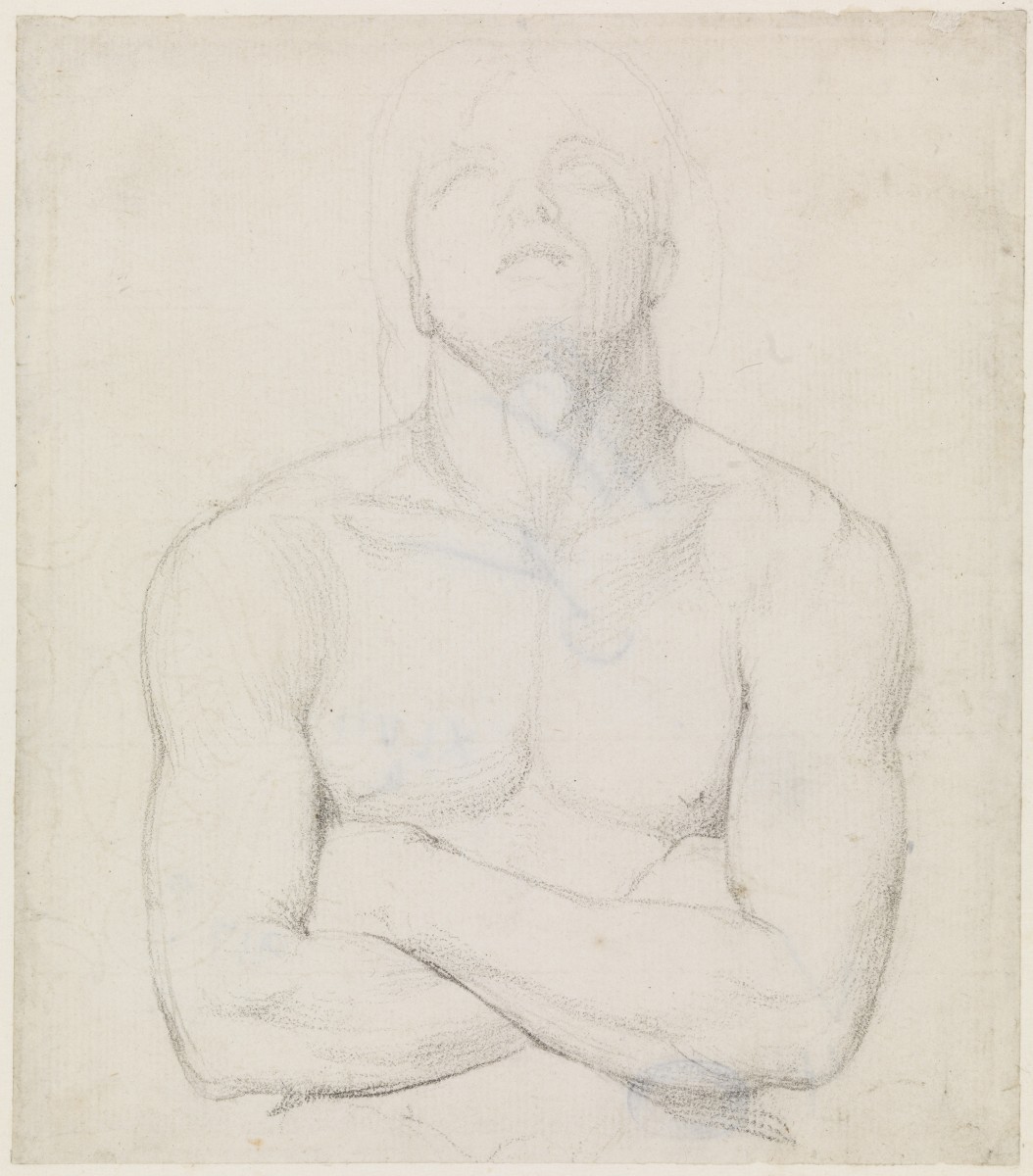 A Nude Male Figure