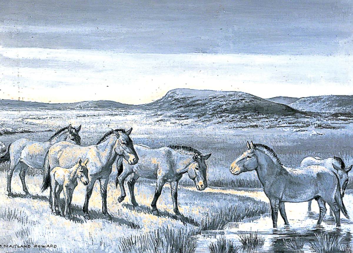Dioramas of Pleistocene, 'Equus przewashii' (Mongolian Wild Horse)