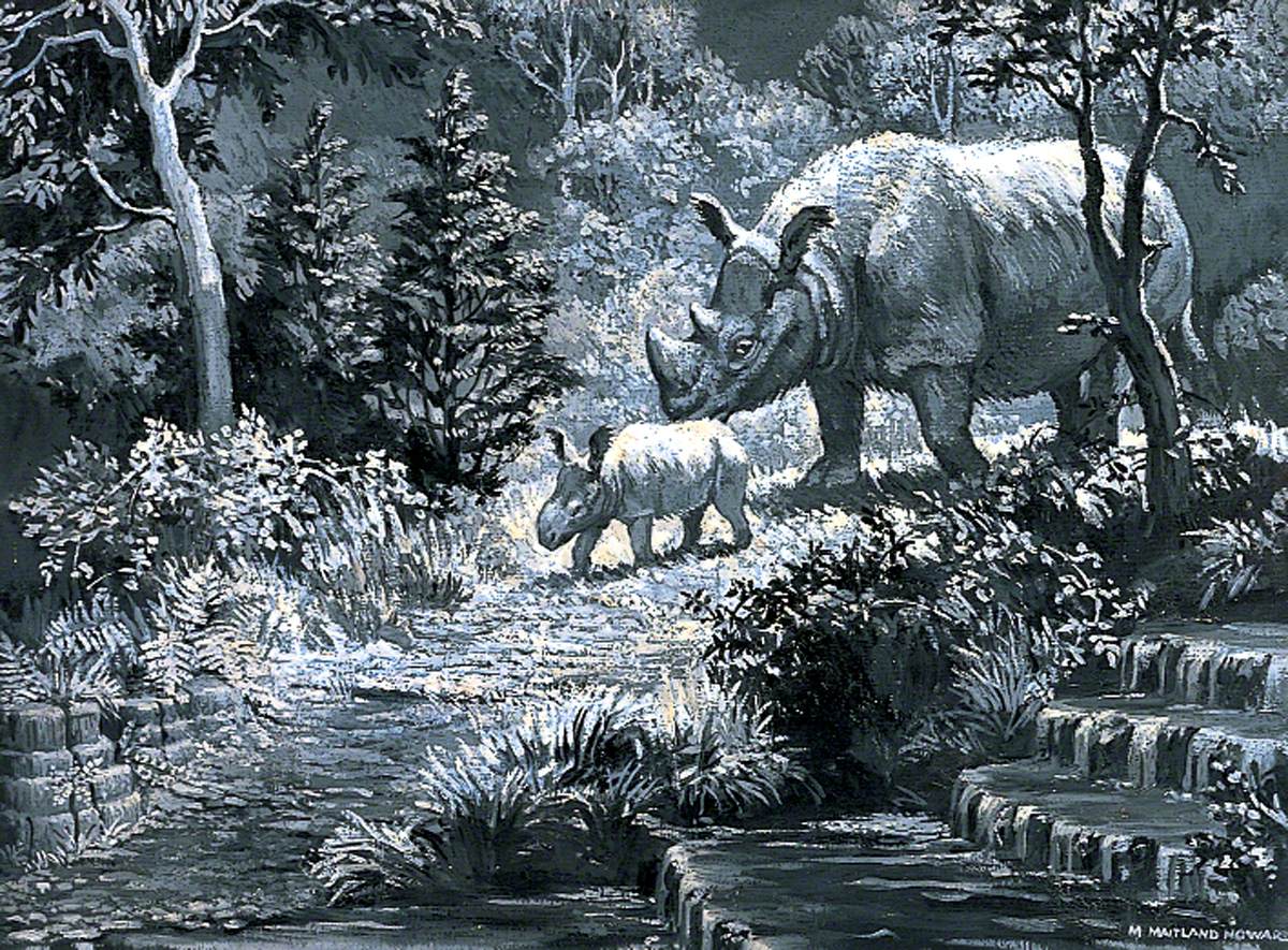Dioramas of Pleistocene, 'Dicerorphinus kirchbergensis (merckii anctt)', (Interglacial Forest Rhinoceros)