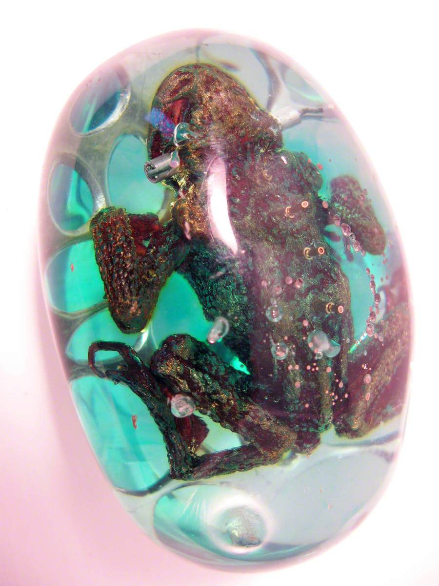 Alien Frog Encased in Green Amber