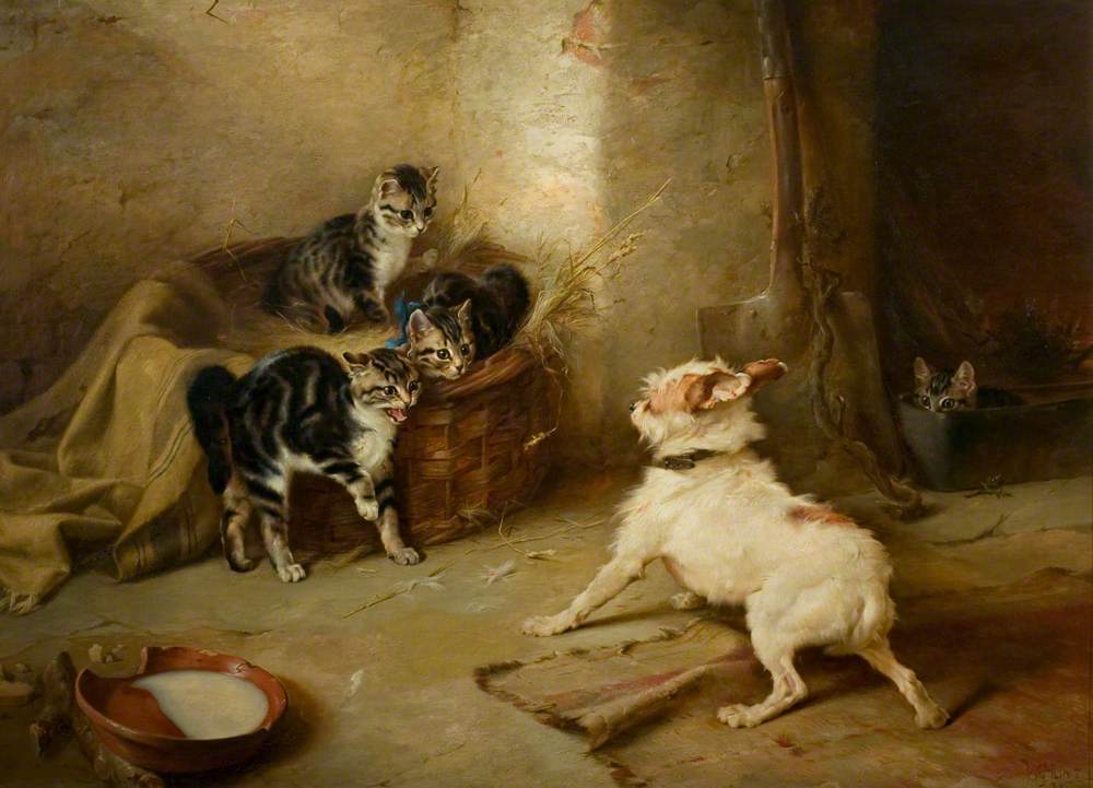 Kittens and a Dog