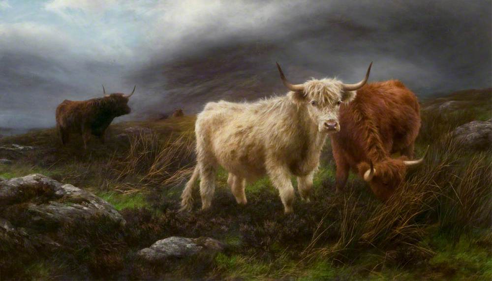 The Highland Pastures