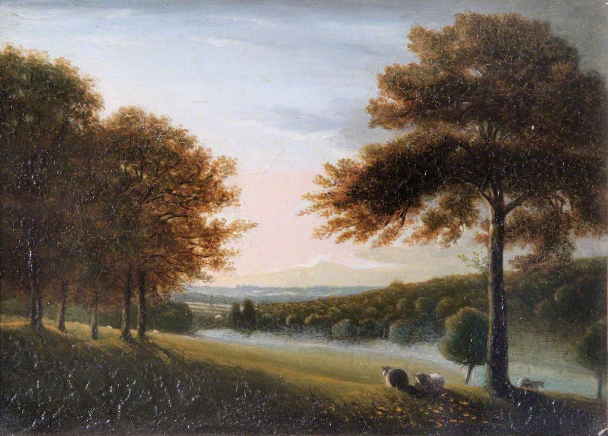 View of Wilkinson's Wood, from Clayesmore