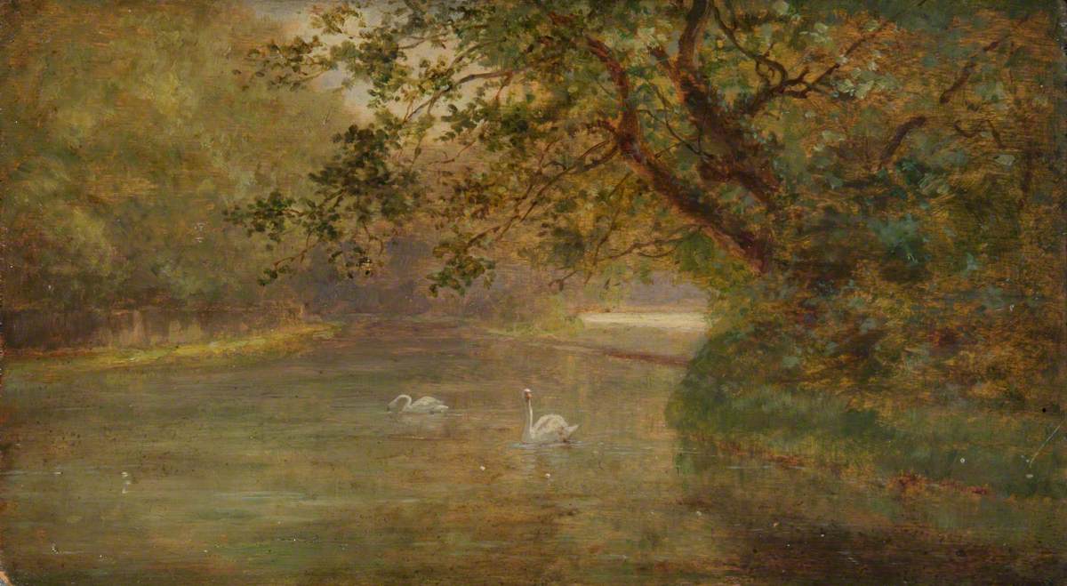 New River, Enfield, with Swans