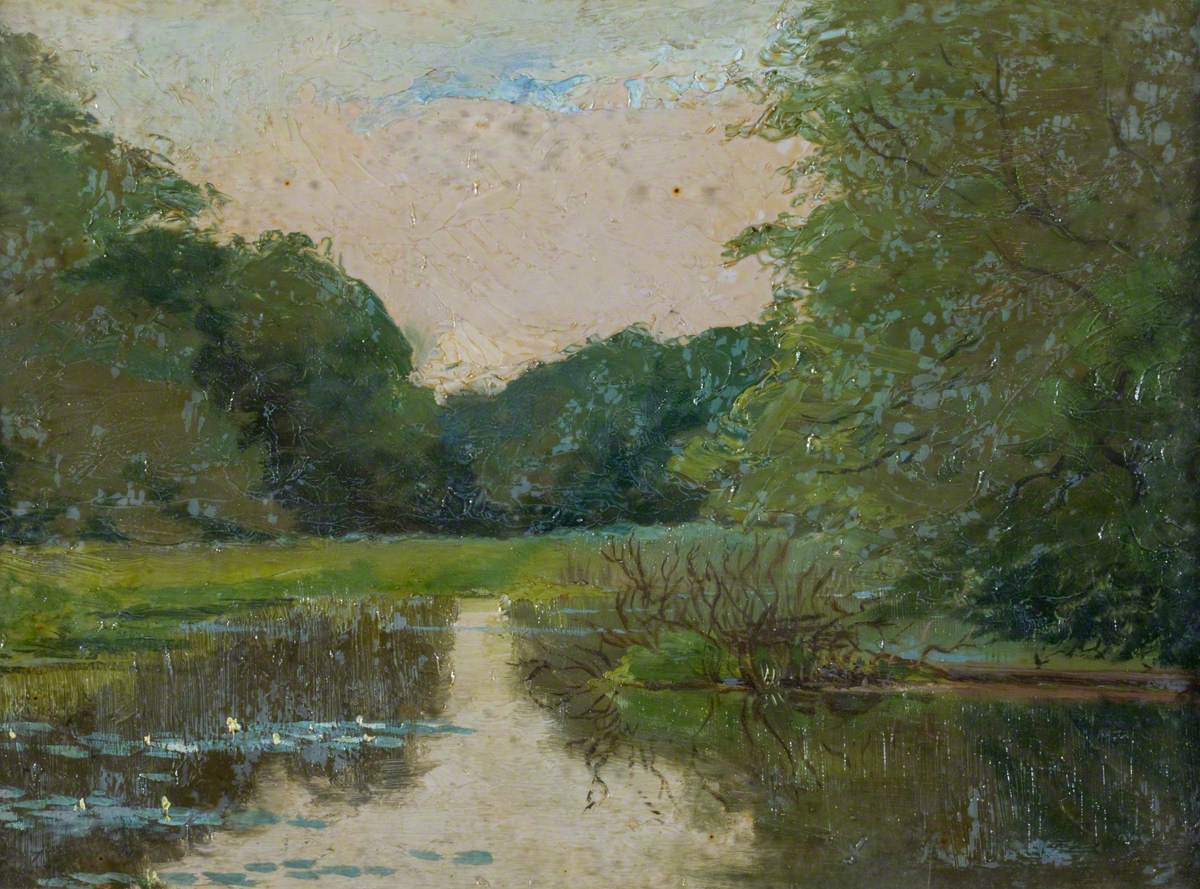 View of a Lily Pond in a Woodland 