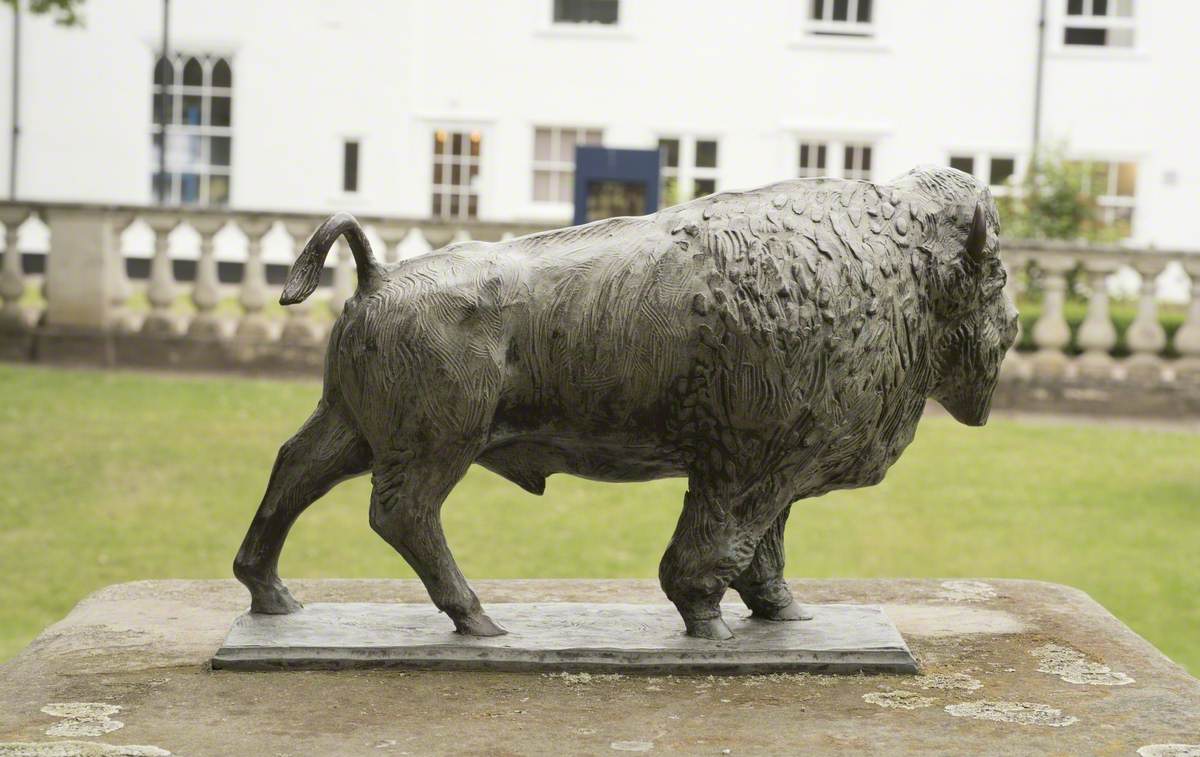 The Bronze Buffalo*