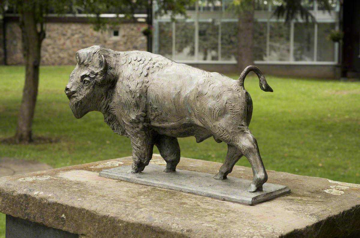 The Bronze Buffalo*