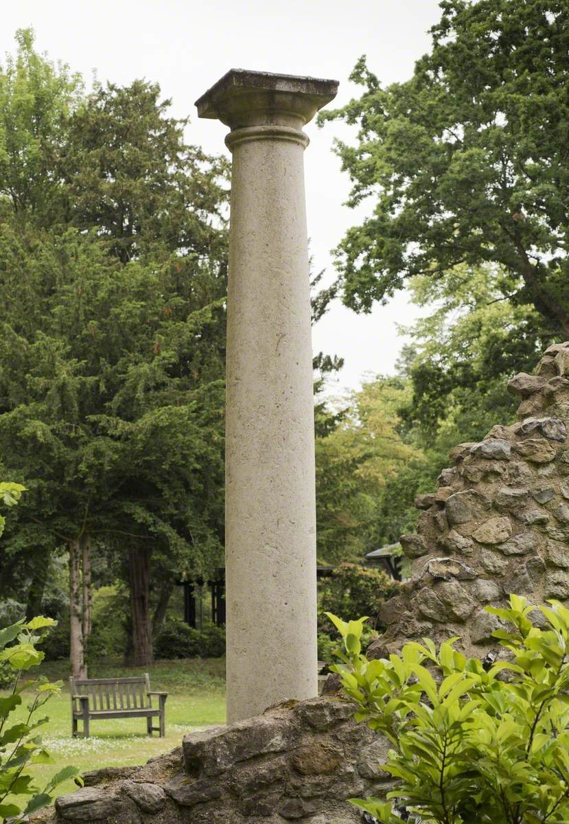 Caroline's Column