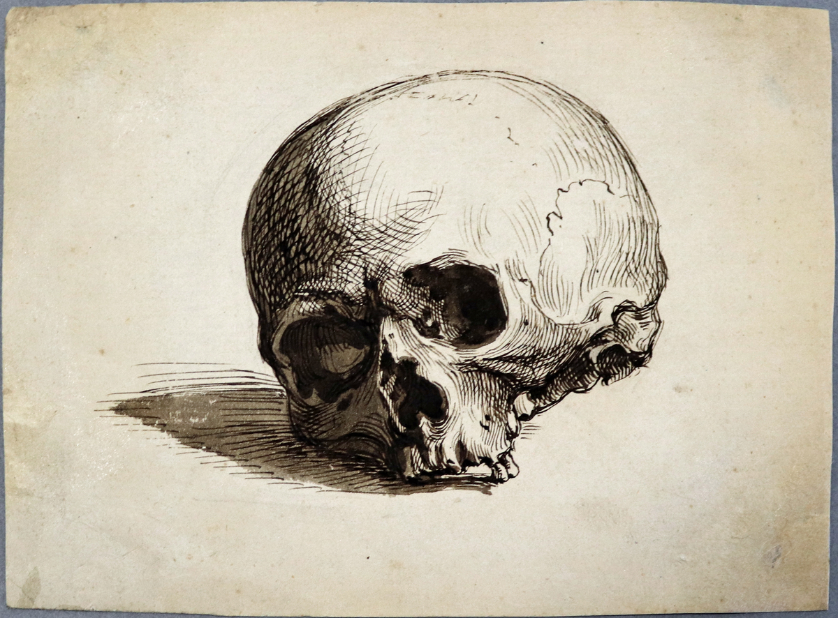 A Skull