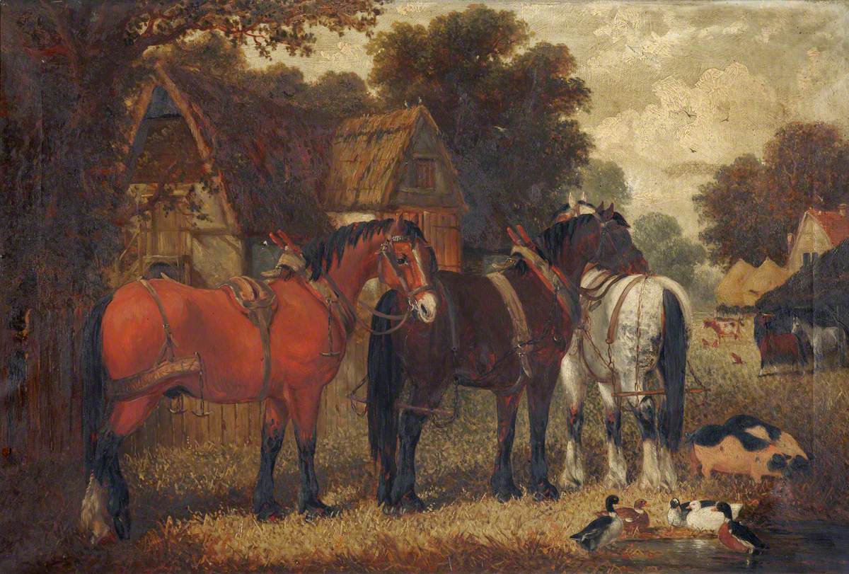 Farmyard Scene