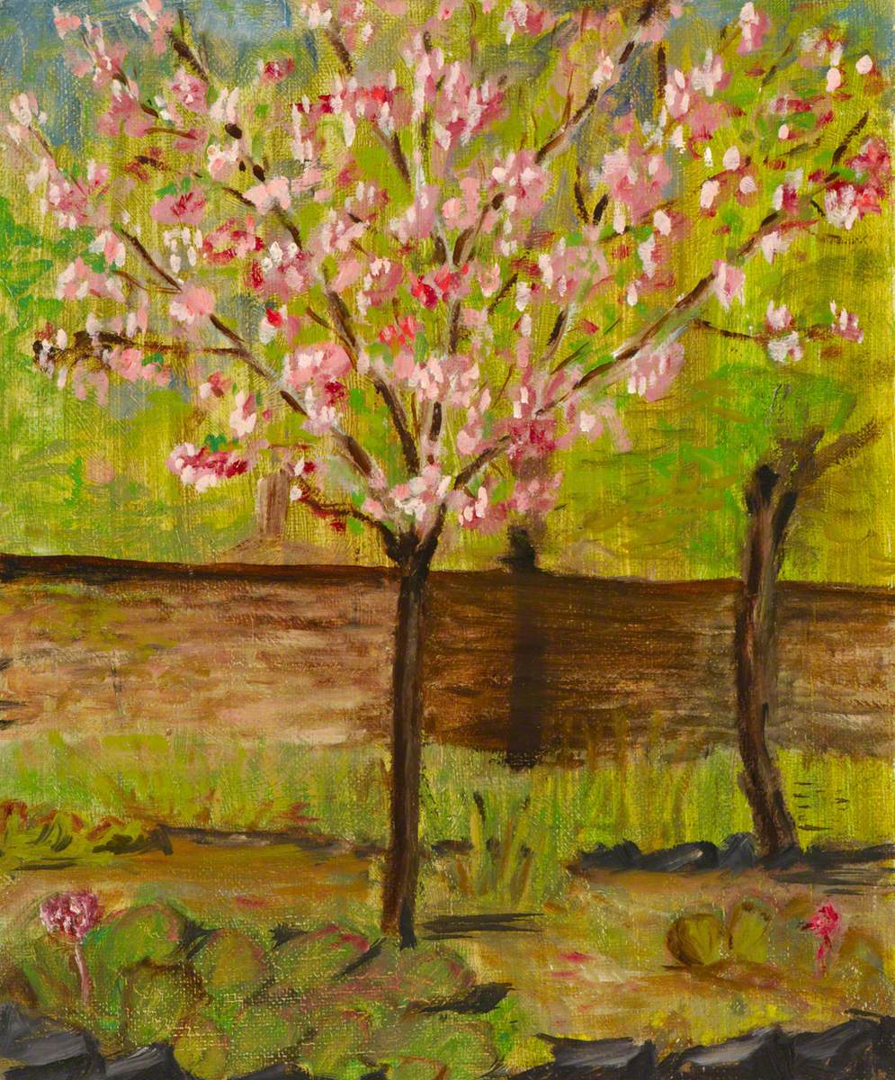 Flowering Cherry Tree, 95 Lee Road