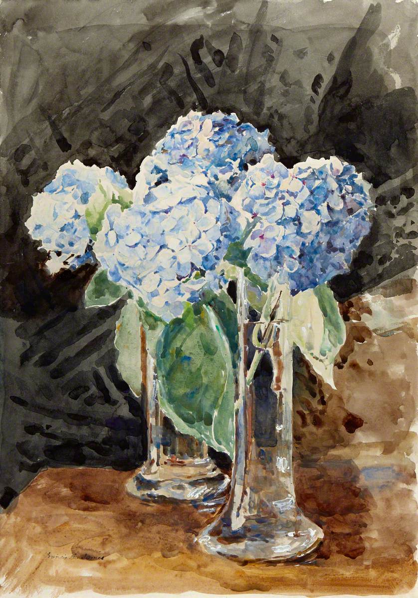 Blue Hydrangeas