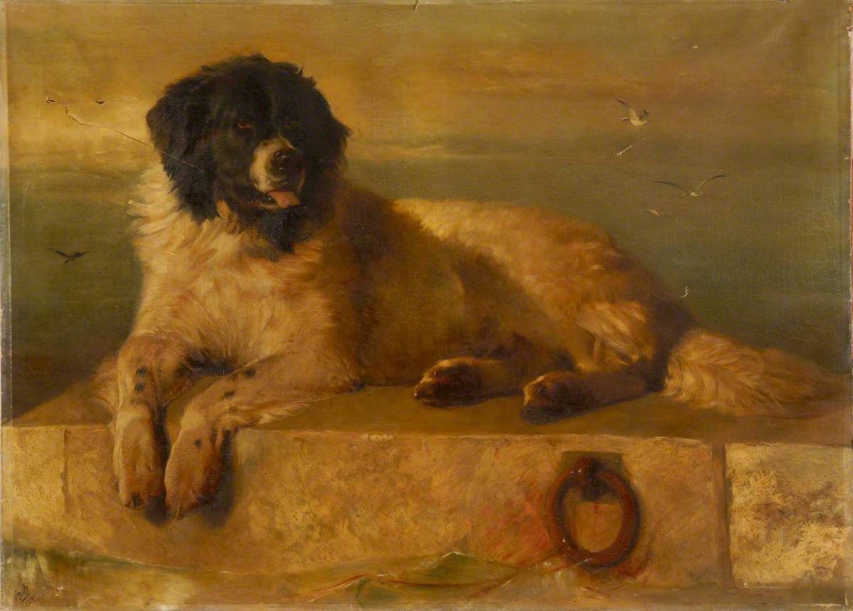 A Distinguished Member of the Humane Society | Art UK