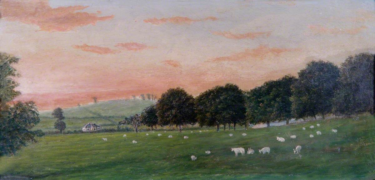 Scene with Sheep