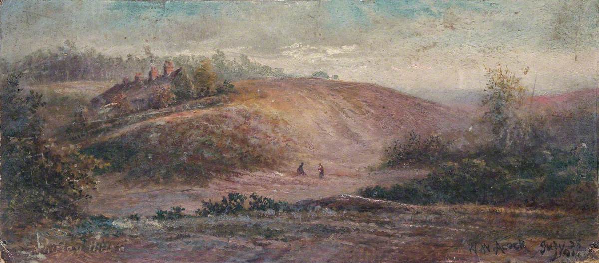 Shirley Hills, Croydon, Surrey, 28 July 1911