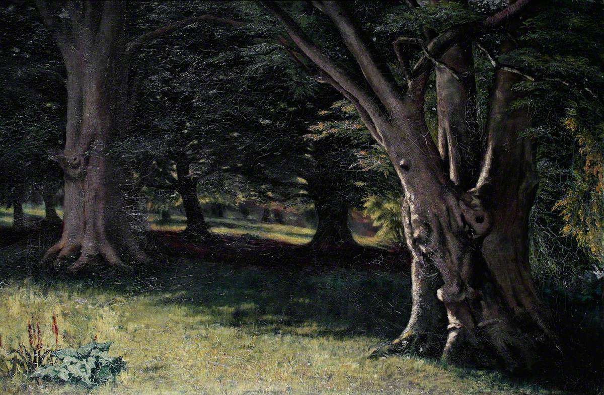Purley Beeches