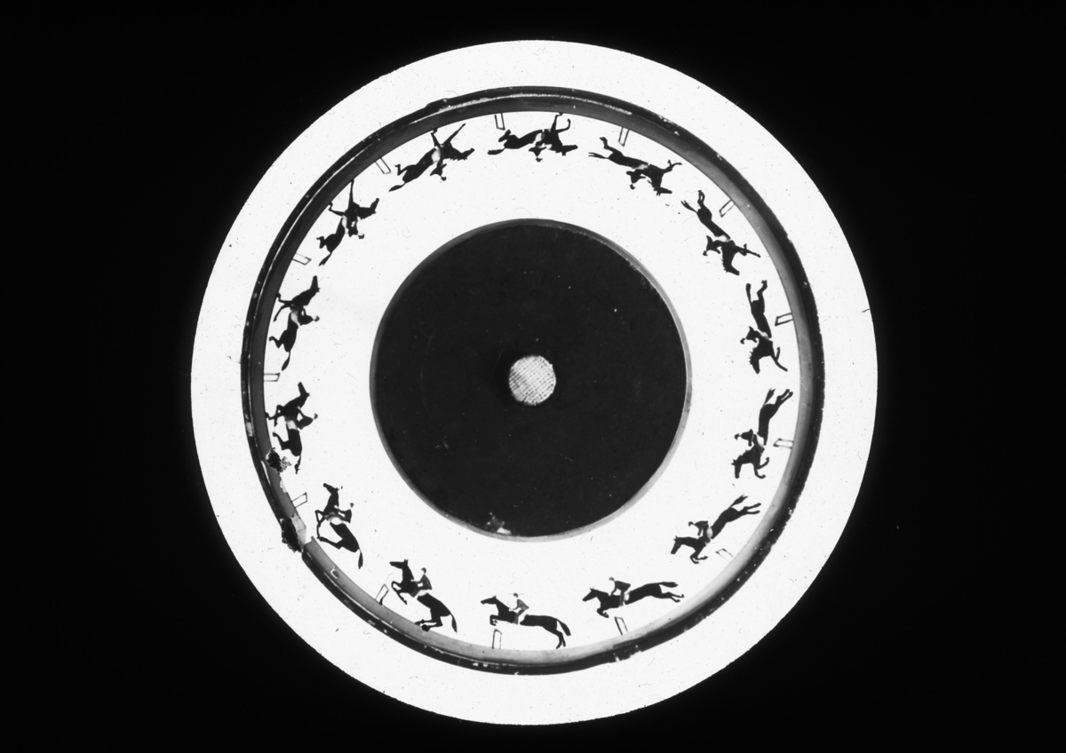 Glass Lantern Slide, 'Zoopraxiscope disc'