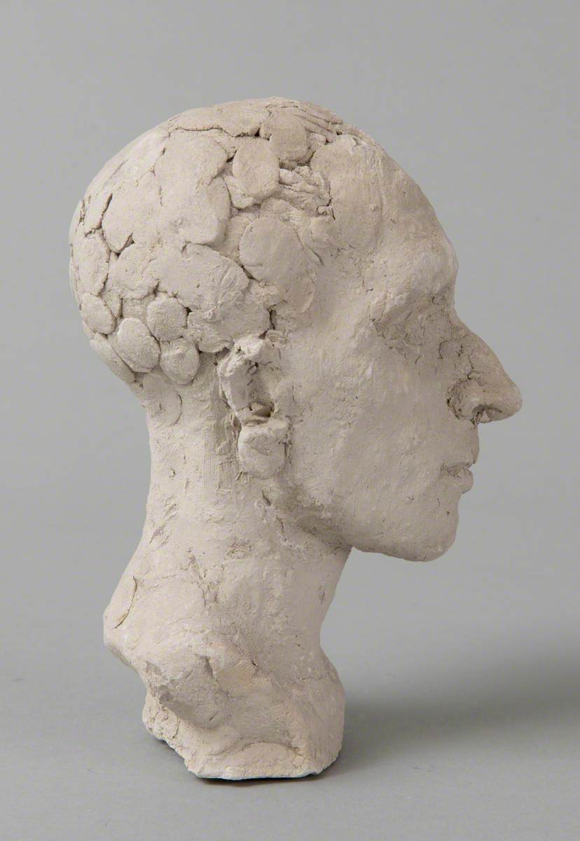 Study of a Male Head*