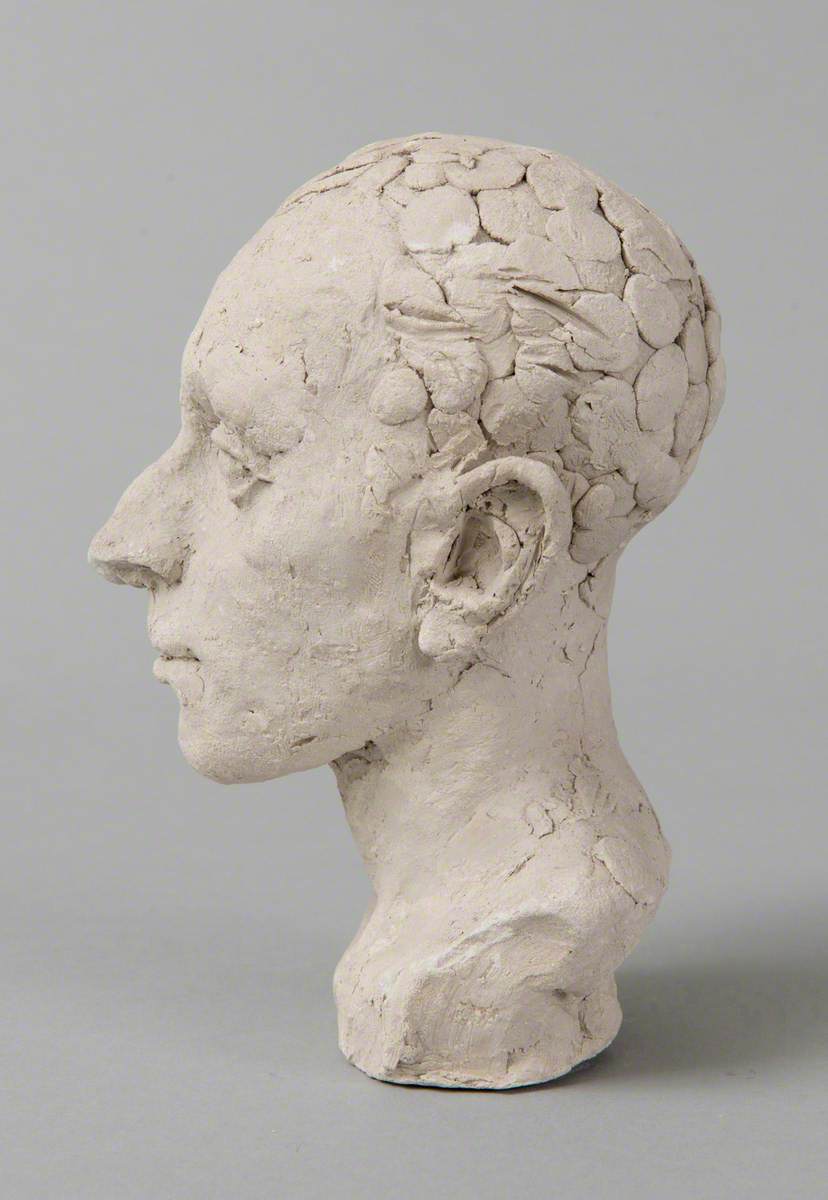 Study of a Male Head*