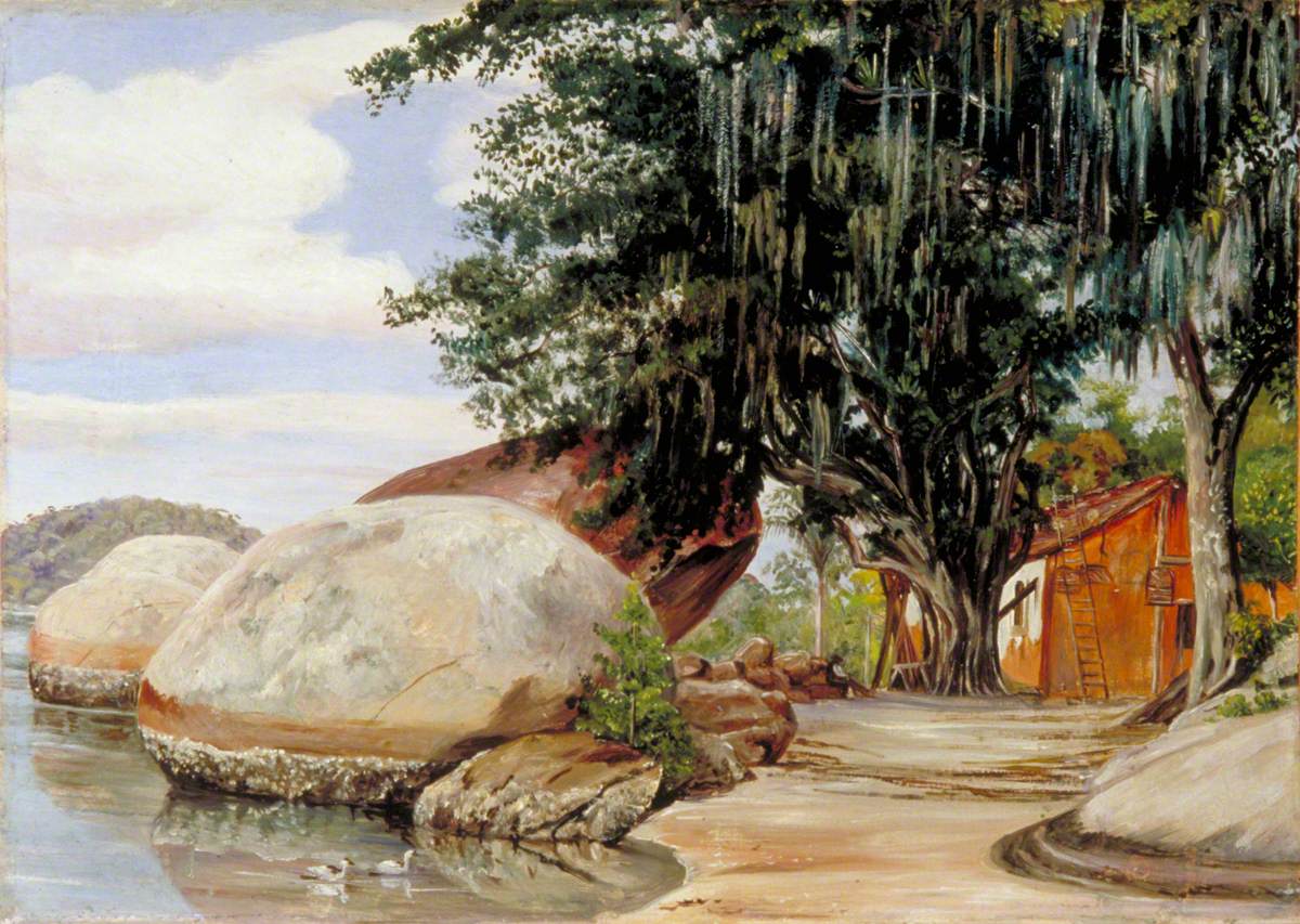 Boulders, Fisherman's Cottage and Tree Hung with Air Plant at Parquita, Brazil