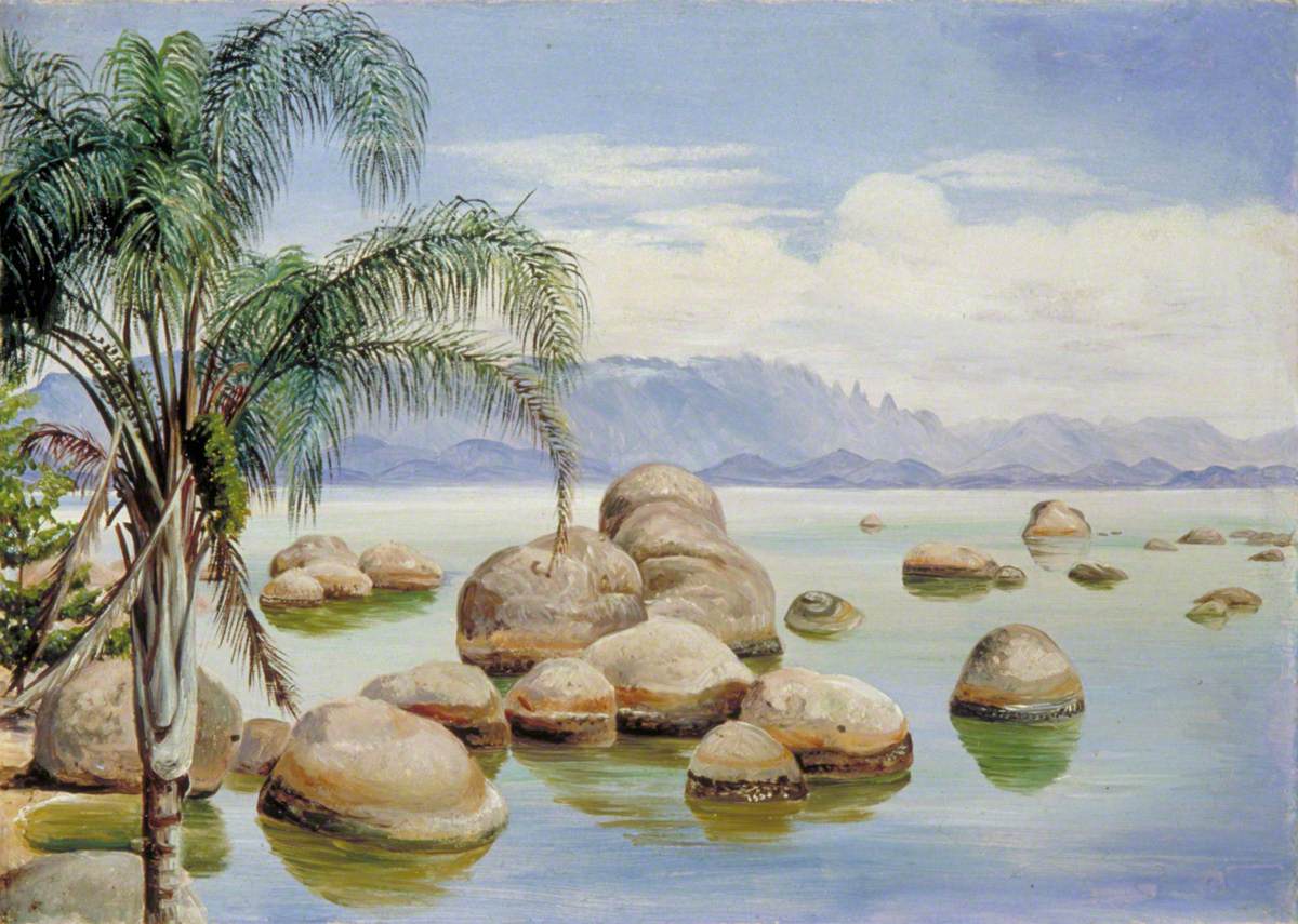 Palm Trees and Boulders in the Bay of Rio, Brazil