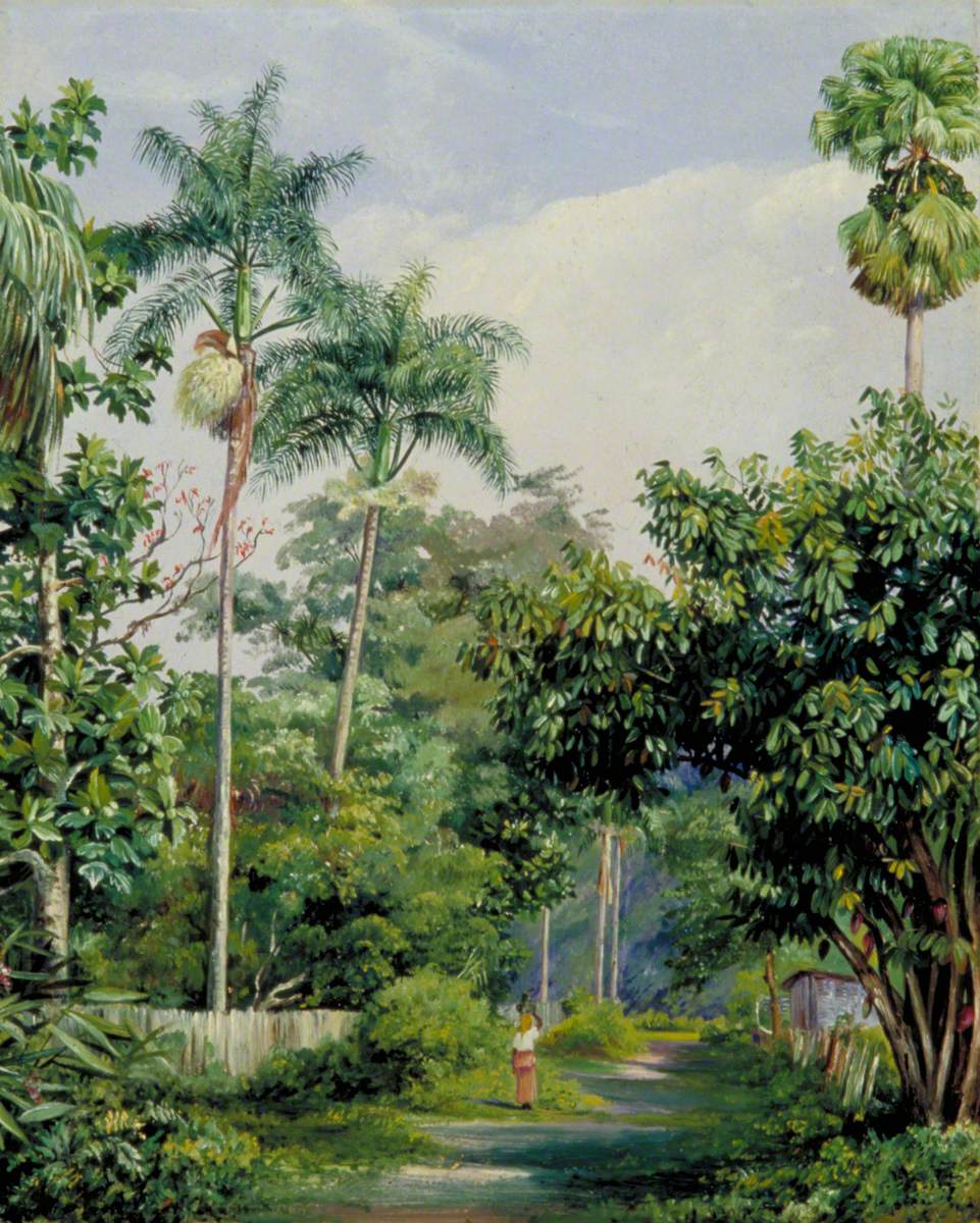Road near Bath, Jamaica, with Cabbage Palms, Bread Fruit, Cocoa and Coral Trees