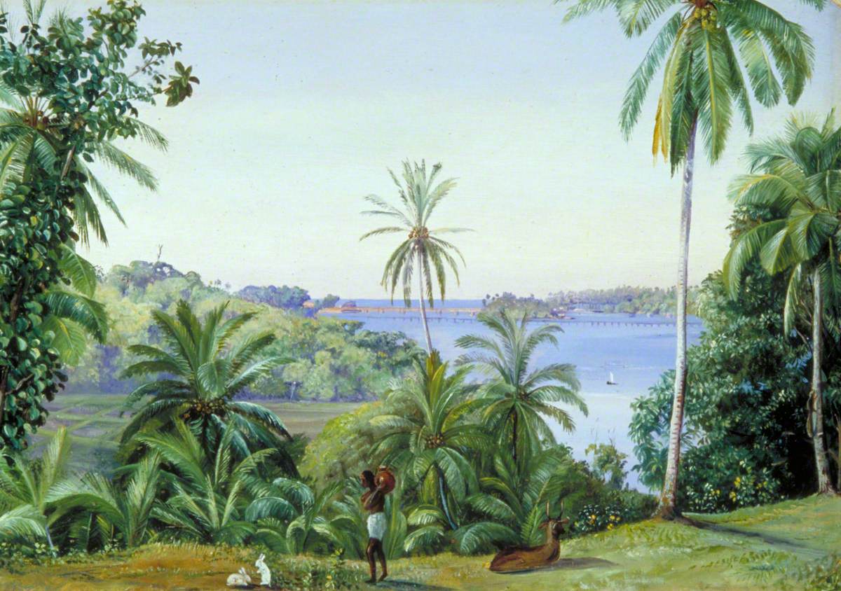 Some of Mrs Cameron's Models with Cocoanut and Teak Trees, Kalutara, Ceylon