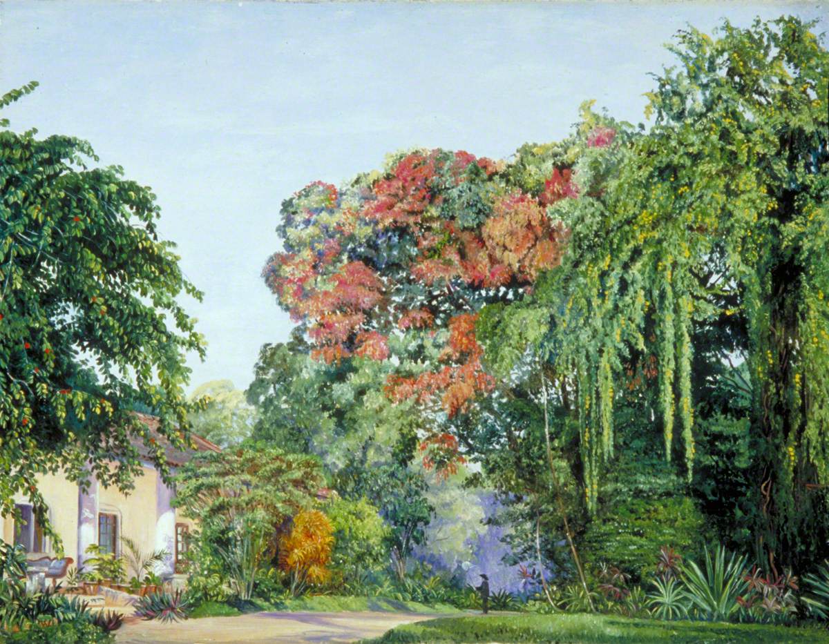 A View in the Royal Botanic Garden, Peradeniya, Ceylon