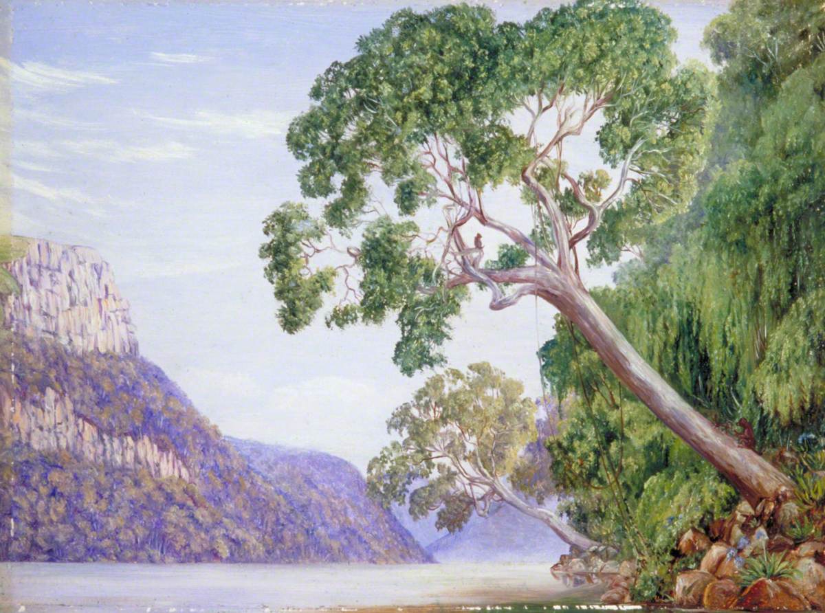 Kaffir Plumtrees Overhanging St John's River, Kaffraria